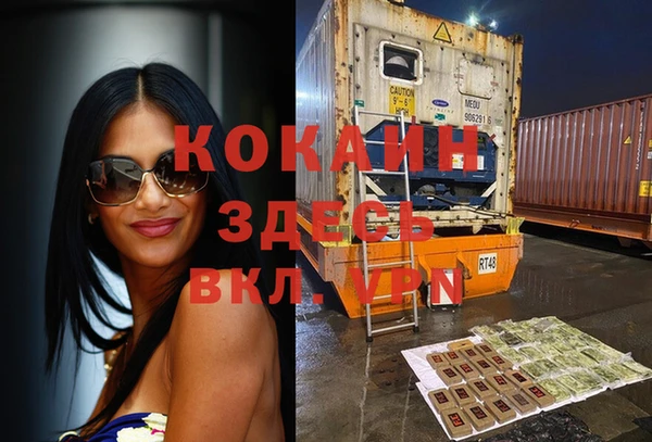 винт Алзамай